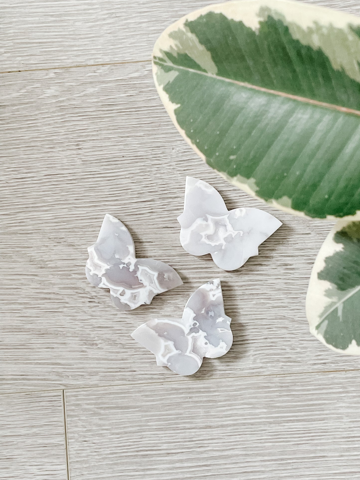 Snow Agate Butterfly